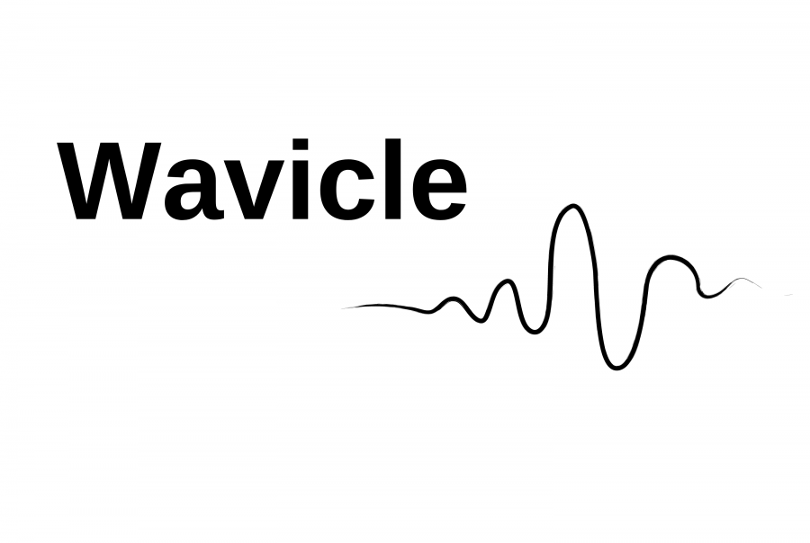 black text with 'wavicle' and a graphic sound wave beneath it.